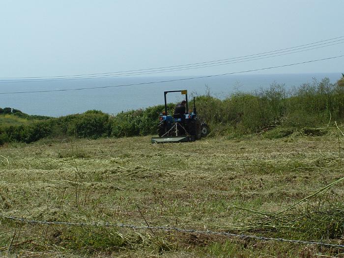 2 Clearing the Field (16)